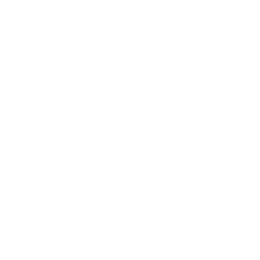 Investor